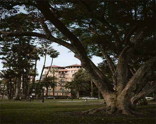 代怀孕的价格-生化妊娠是什么意思？